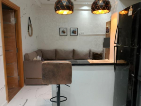 Appartement neuf meublé à louer